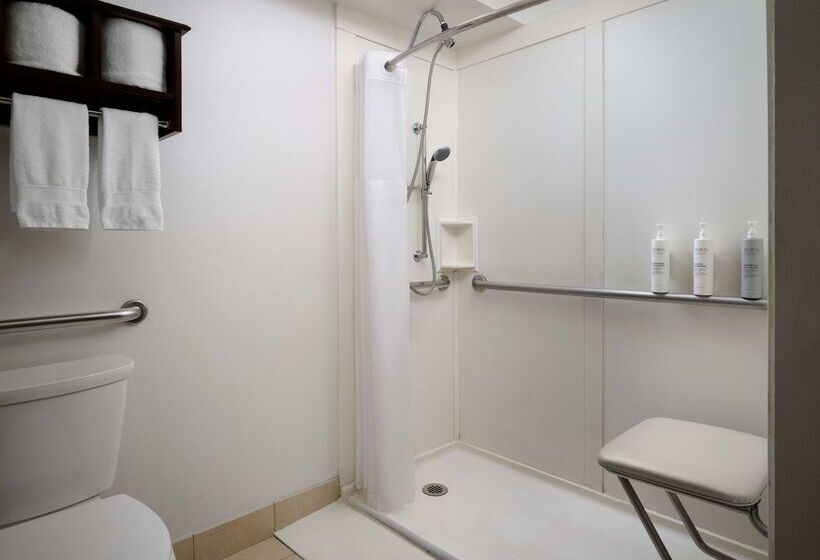 فندق Hampton Inn Chicago Downtown/magnificent Mile