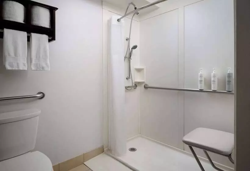 هتل Hampton Inn Chicago Downtown/magnificent Mile