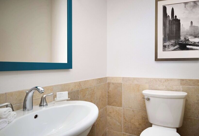 فندق Hampton Inn Chicago Downtown/magnificent Mile
