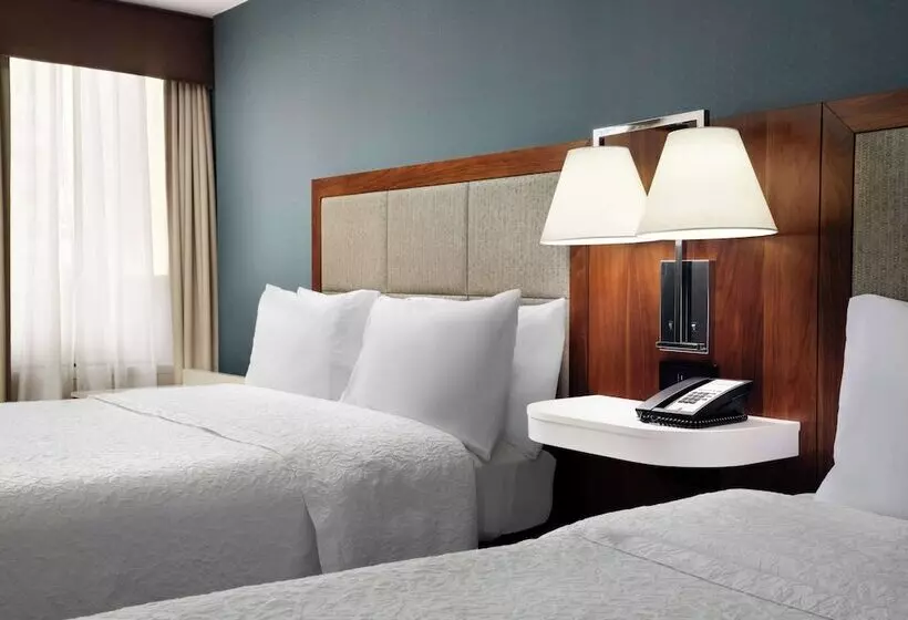 هتل Hampton Inn Chicago Downtown/magnificent Mile