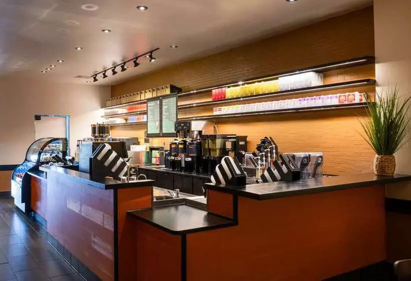 Otel Hilton St. Petersburg Bayfront