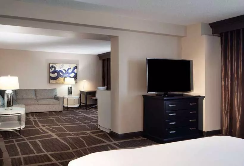 Otel Hilton St. Petersburg Bayfront