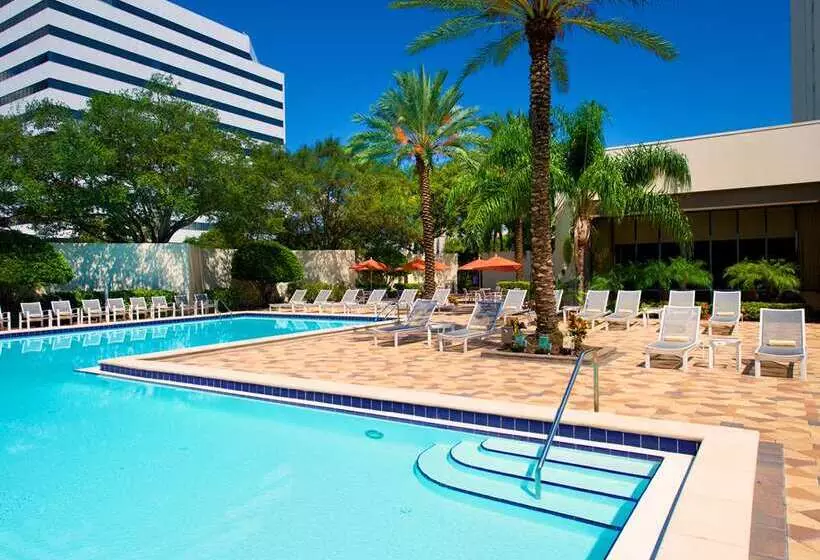 Otel Hilton St. Petersburg Bayfront