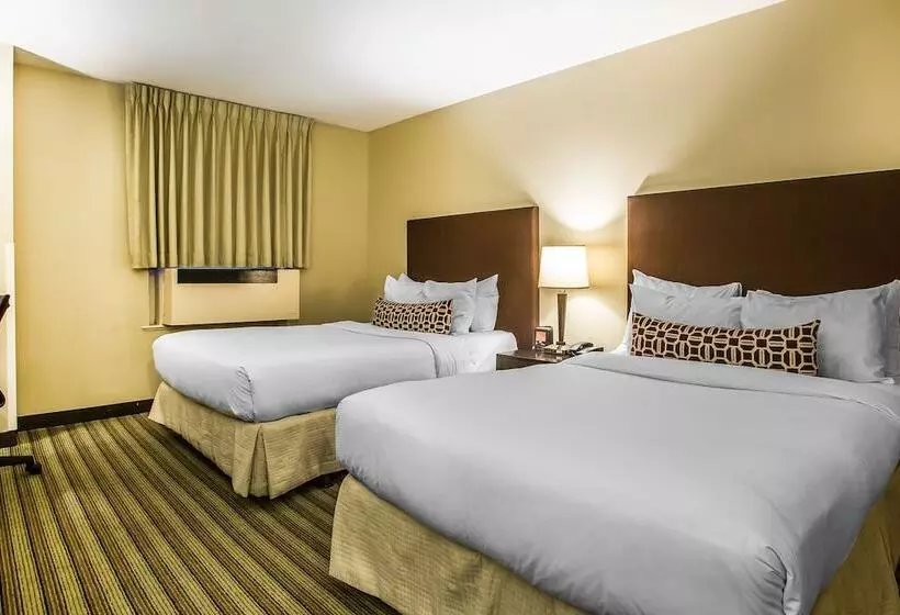 هتل Inn Of Chicago