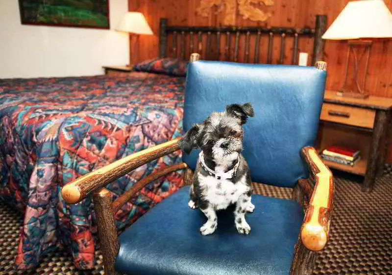 Hotel Lakeside Inn & Casino