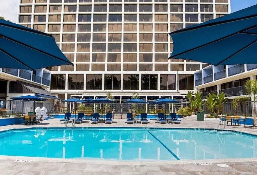 فندق Sheraton Universal