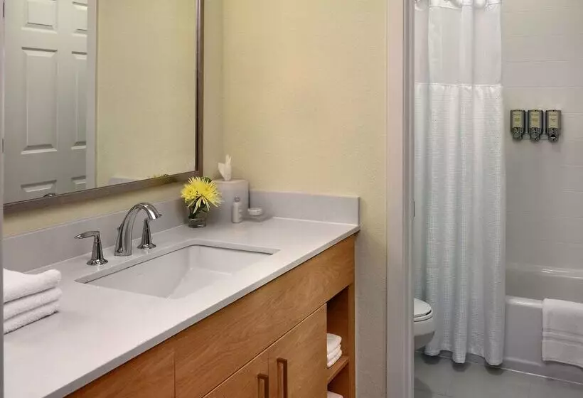 酒店 Sonesta Es Suites Atlanta  Perimeter Center North