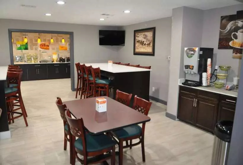 Hotel Quality Inn & Suites Plano East   Richardson