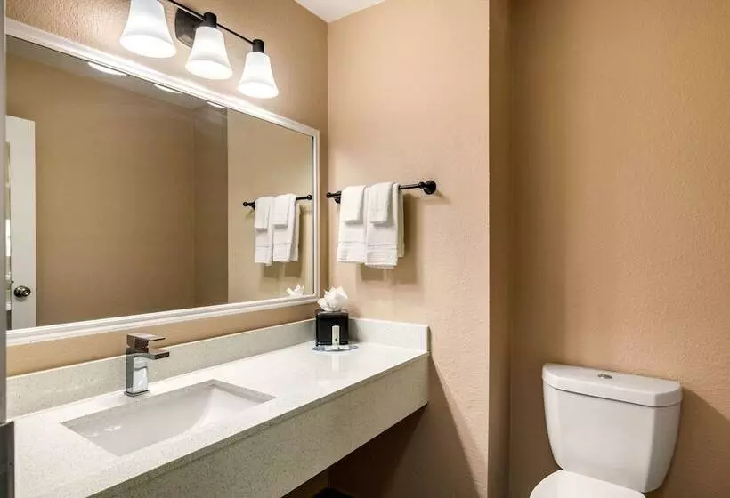 Hotel Quality Inn & Suites Plano East   Richardson