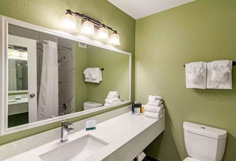 Hotel Quality Inn & Suites Plano East   Richardson