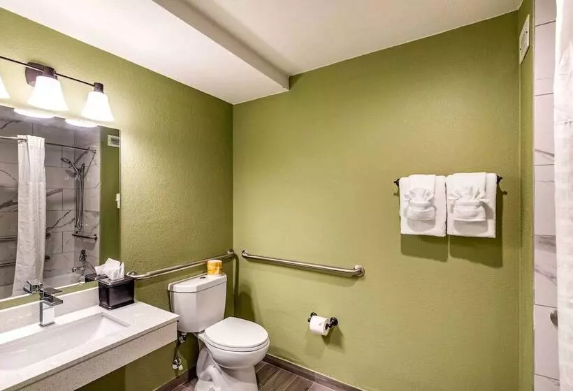 Hotel Quality Inn & Suites Plano East   Richardson