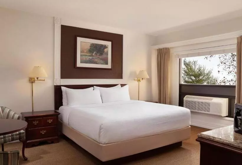 فندق The Albion Summit