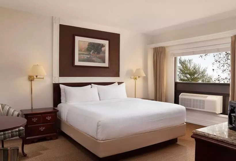 فندق The Albion Summit