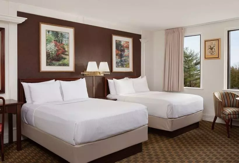 فندق The Albion Summit