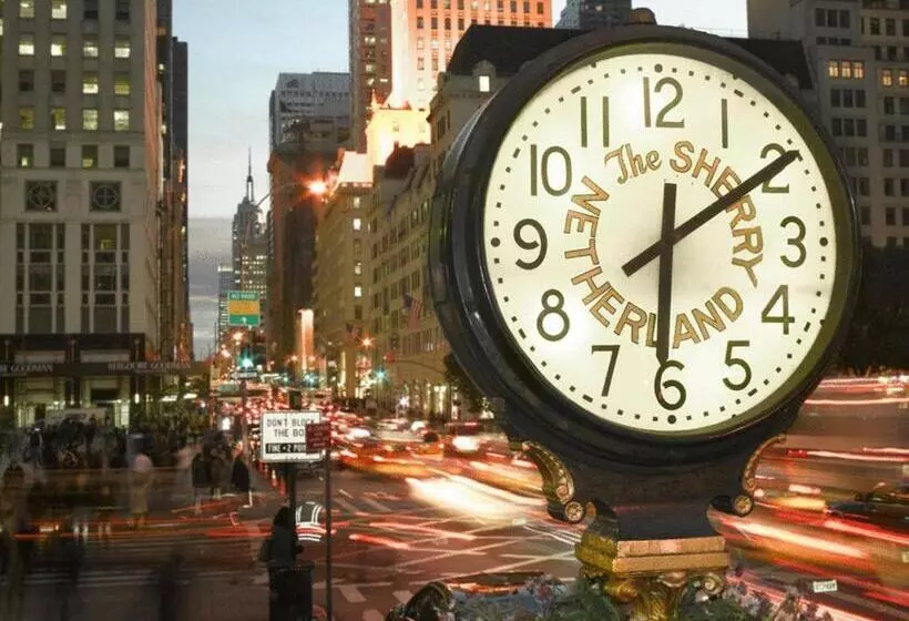 酒店 The Sherry Netherland