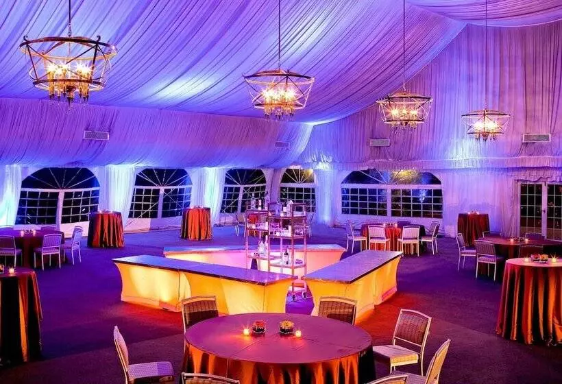 فندق The Westin Chicago Northwest