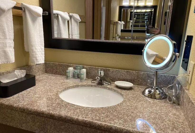 فندق Wingate By Wyndham Mount Vernon