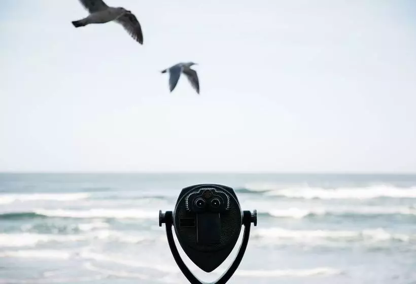 リゾートホテル Surftides