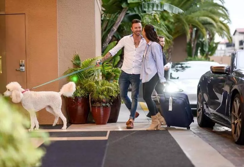 אתר נופש The Cliffs Hotel And Spa