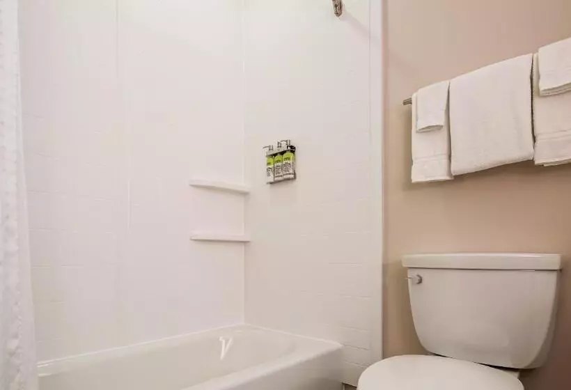 호텔 Holiday Inn Express & Suites Detroit   Farmington Hills, An Ihg