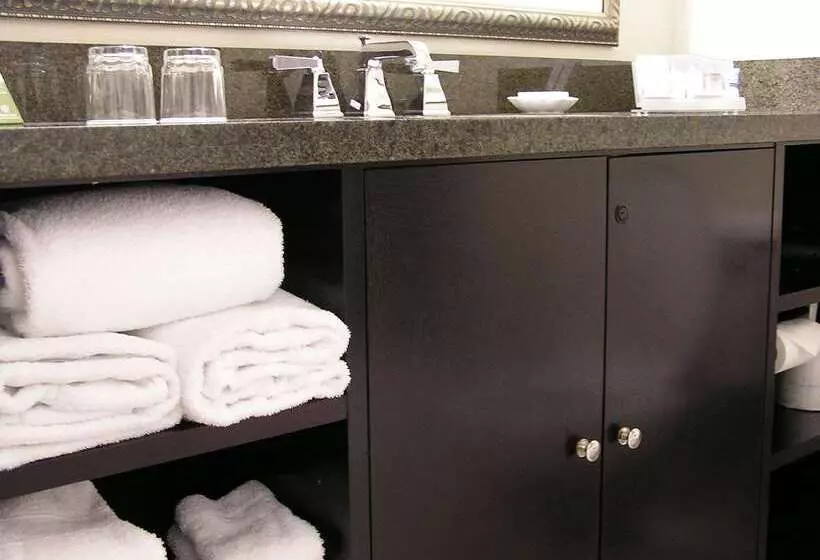 酒店 Doubletree By Hilton Charlotte Airport