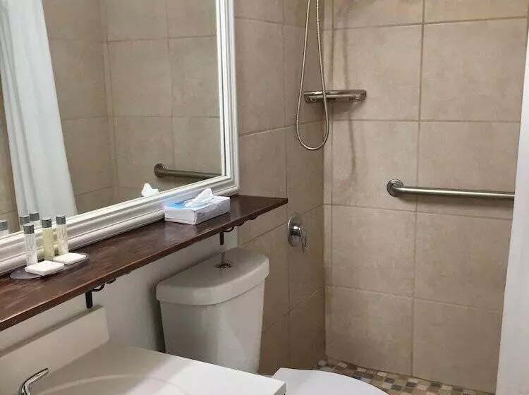 هتل Holger Danske