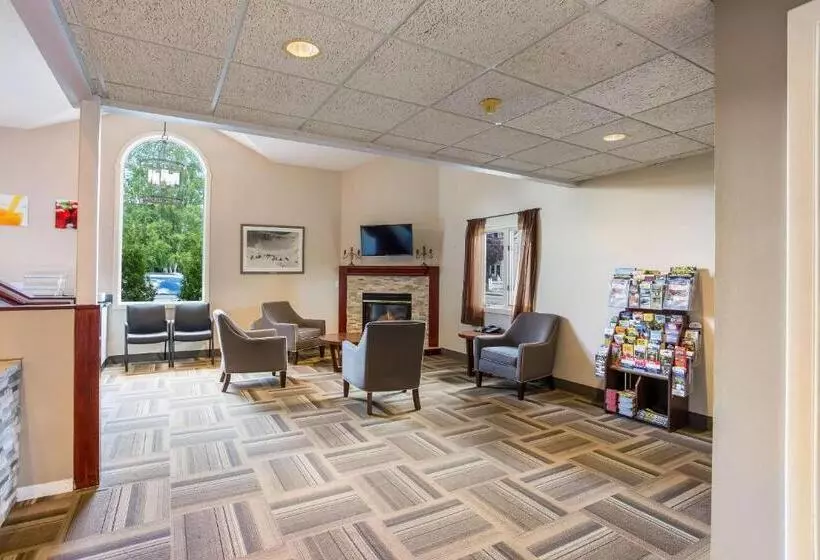 호텔 Quality Inn & Suites