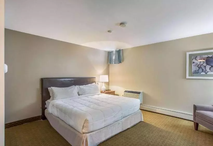 호텔 Quality Inn & Suites