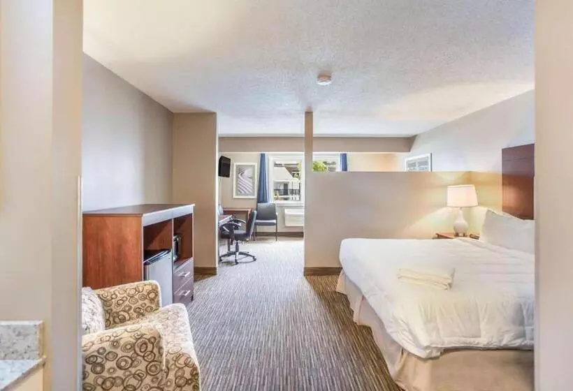 호텔 Quality Inn & Suites