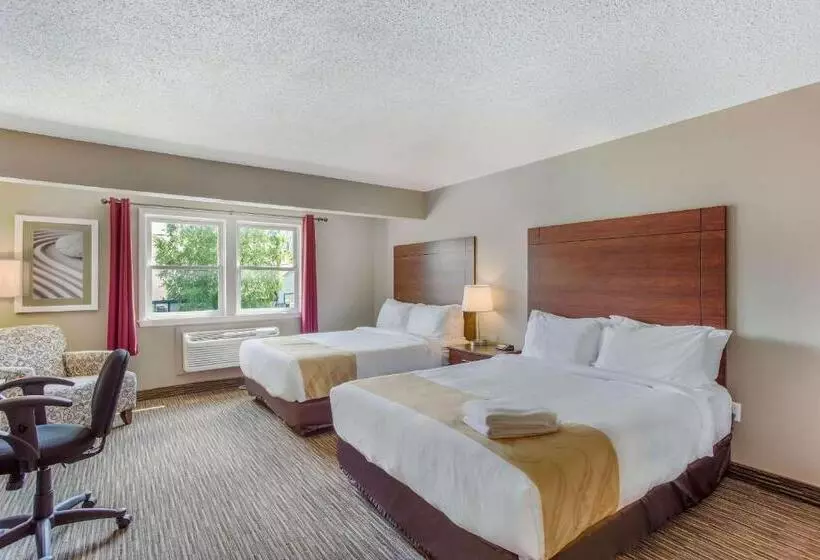 호텔 Quality Inn & Suites