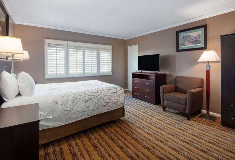 هتل Travelodge By Wyndham Seattle By The Space Needle