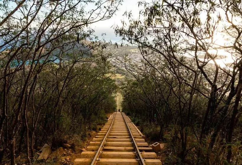 Wayfinder Waikiki   Voted Top 10 Best Hotels In Hawaii!