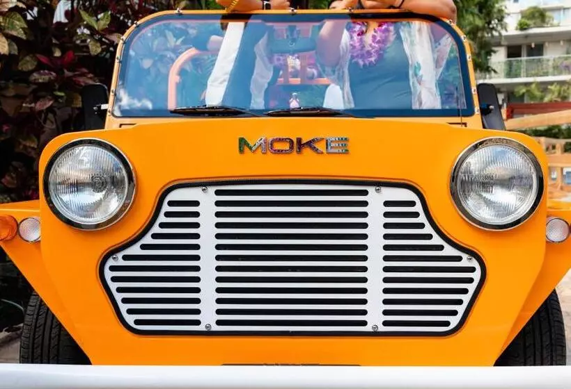 Wayfinder Waikiki   Voted Top 10 Best Hotels In Hawaii!