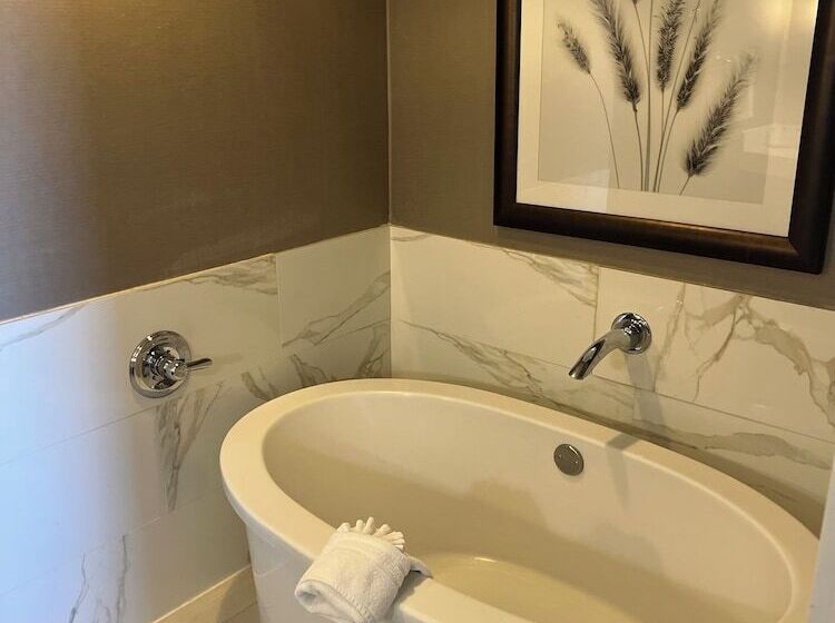 هتل Wyndham Midland Downtown