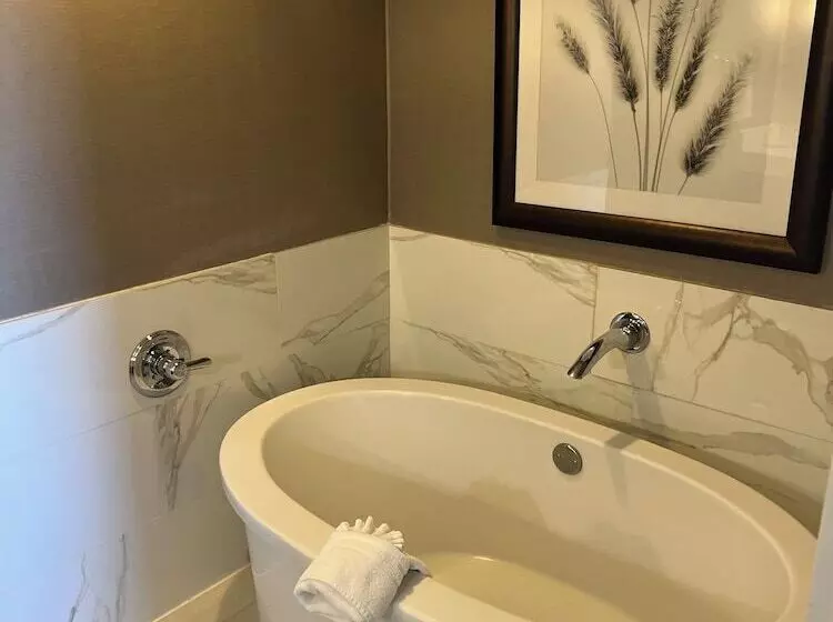 ホテル Wyndham Midland Downtown