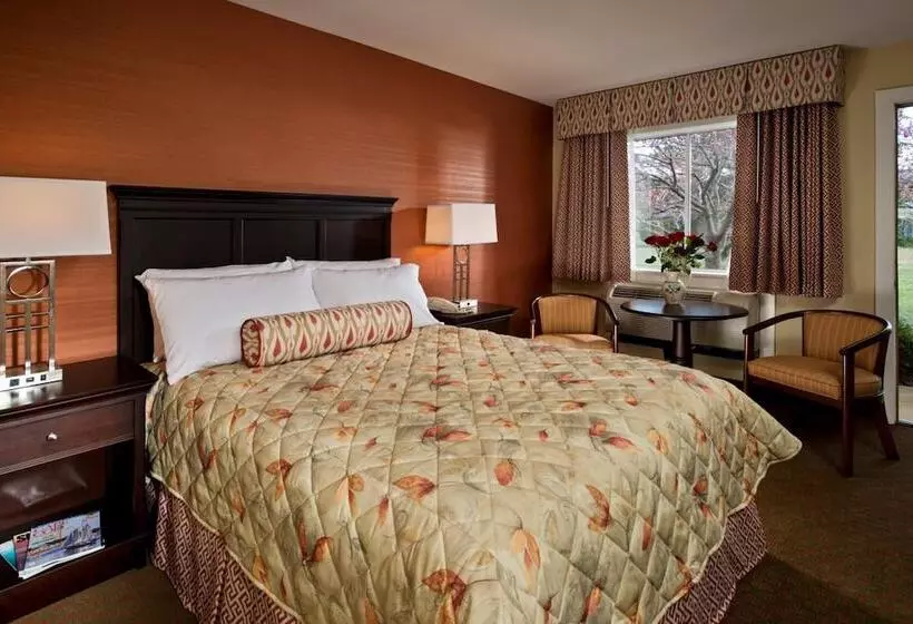 Wellfleet Motel And Lodge