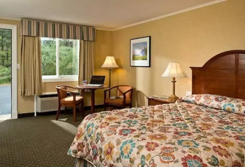 Wellfleet Motel And Lodge