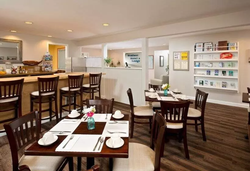 Wellfleet Motel And Lodge