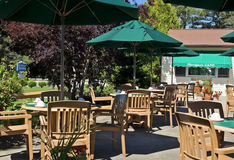 Wellfleet Motel And Lodge