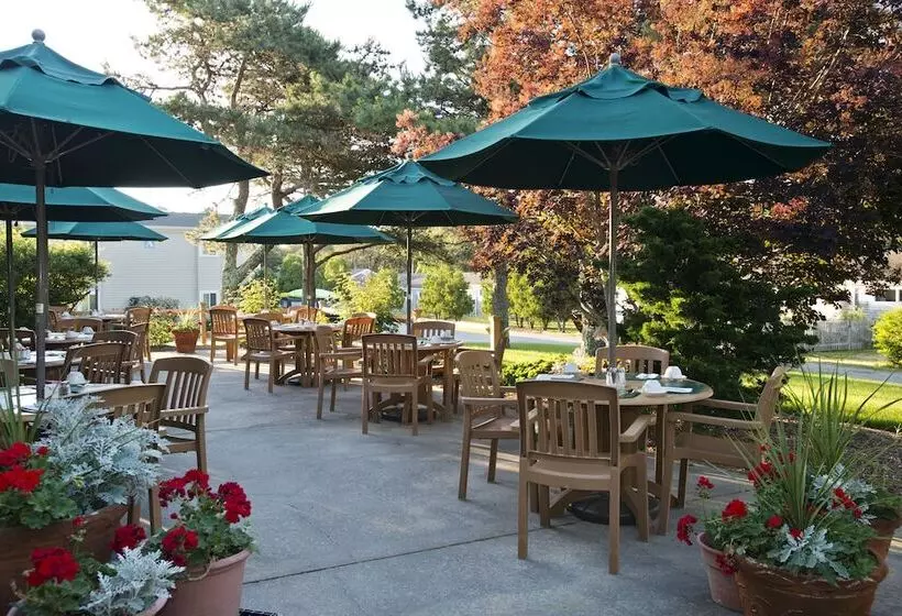 Wellfleet Motel And Lodge