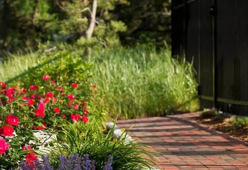 Wellfleet Motel And Lodge