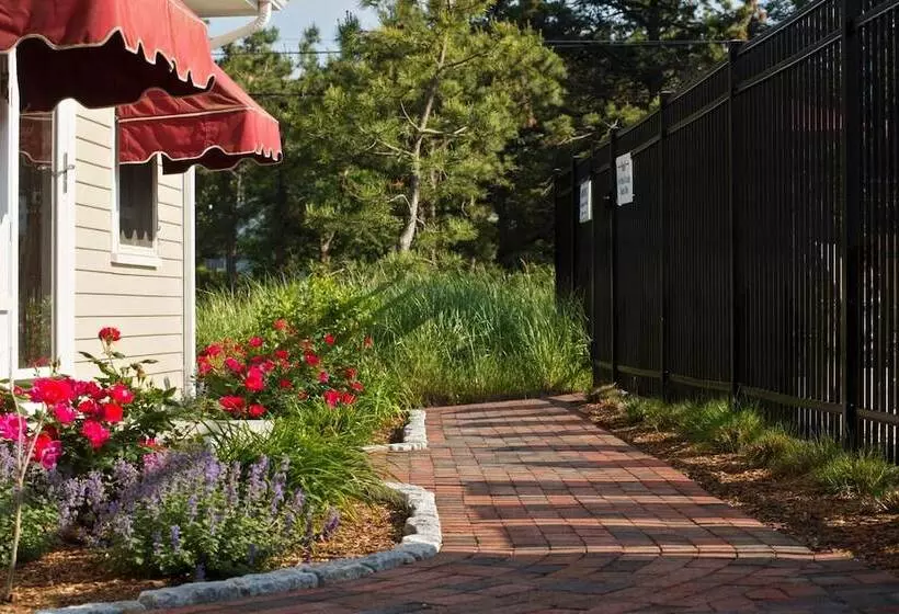 Wellfleet Motel And Lodge