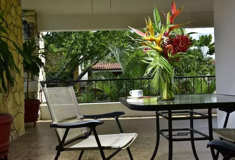 酒店 Plaza Palenque