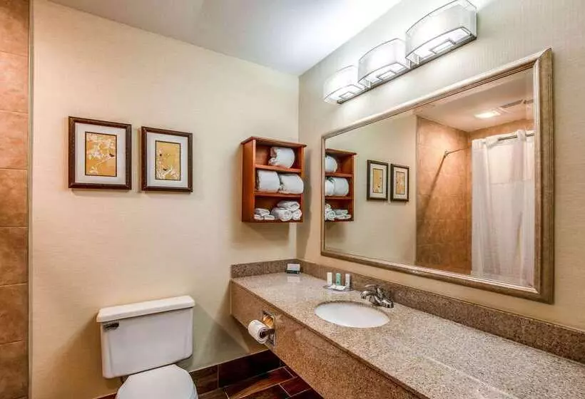 فندق Country Inn & Suites By Radisson, Muskegon, Mi