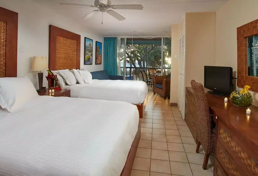 Divi Flamingo Beach Resort