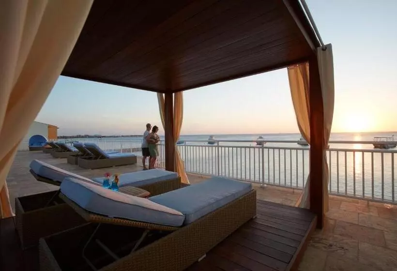 Divi Flamingo Beach Resort