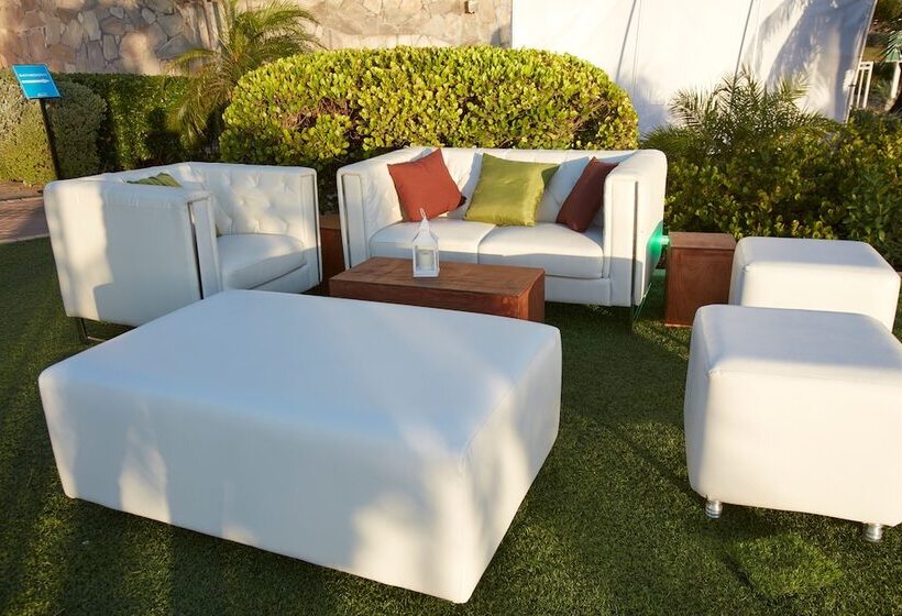 Divi Flamingo Beach Resort