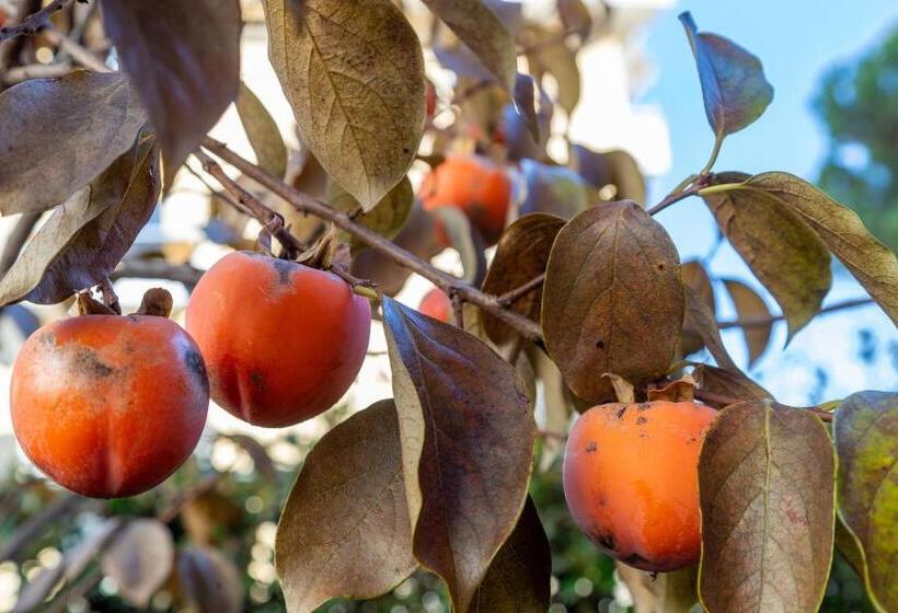 Otel Garni Dei Fiori