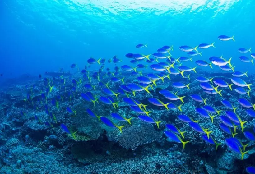 ホテル Kia Ora Resort & Spa