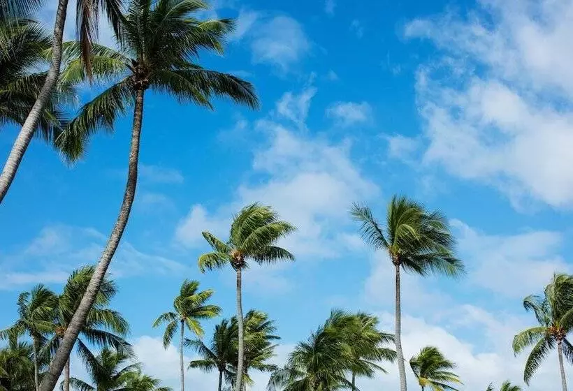 ホテル Kia Ora Resort & Spa